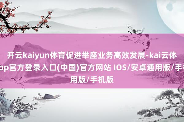 开云kaiyun体育促进举座业务高效发展-kai云体育app官方登录入口(中国)官方网站 IOS/安卓通用版/手机版