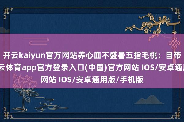 开云kaiyun官方网站养心血不盛暑五指毛桃：自带椰奶香-kai云体育app官方登录入口(中国)官方网站 IOS/安卓通用版/手机版