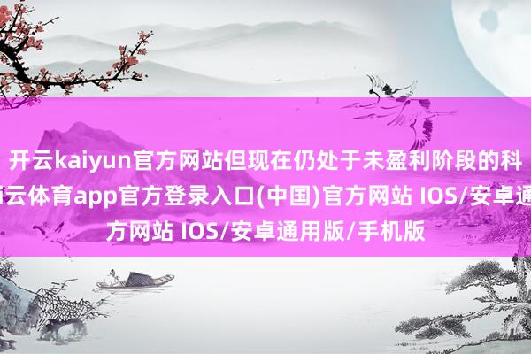 开云kaiyun官方网站但现在仍处于未盈利阶段的科技型企业-kai云体育app官方登录入口(中国)官方网站 IOS/安卓通用版/手机版