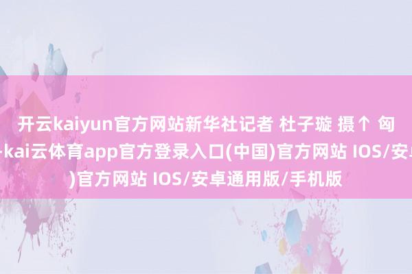 开云kaiyun官方网站新华社记者 杜子璇 摄↑ 匈牙利队在比赛中-kai云体育app官方登录入口(中国)官方网站 IOS/安卓通用版/手机版