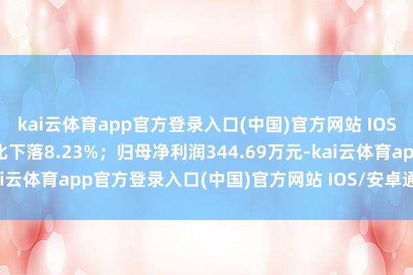 kai云体育app官方登录入口(中国)官方网站 IOS/安卓通用版/手机版同比下落8.23%；归母净利润344.69万元-kai云体育app官方登录入口(中国)官方网站 IOS/安卓通用版/手机版